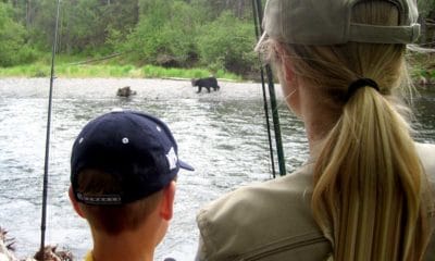 kenai-kids-bear